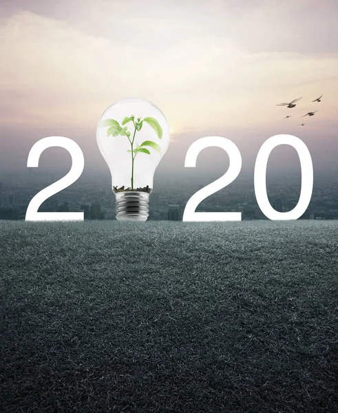 Frohes neues Jahr 2020 Energieeinsparung und Umweltkonzept — Stockfoto