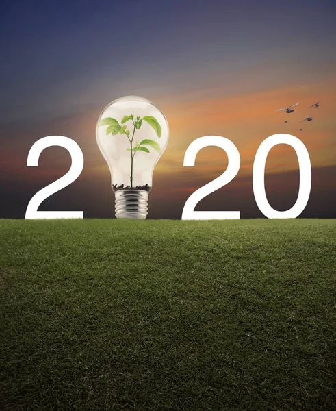 Feliz ano novo 2020 conservação de energia e conceito ambiental — Fotografia de Stock