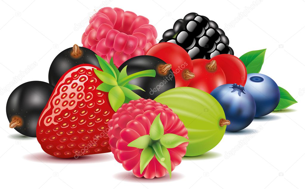 group of strawberry, blueberry, raspberry, blackberry, black and red currant