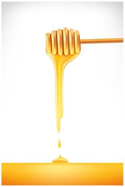 Tatlı bal ayı'yı sopa ile bal damlayan