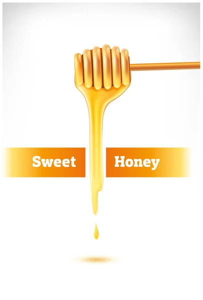 Dolce bastone di tuffatore di miele con miele gocciolante — Vettoriale Stock