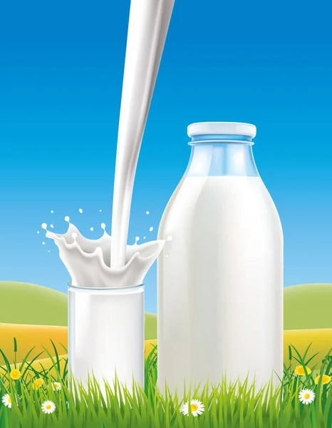 Mjölk hälla till glas på gräsplan med kamomill — Stock vektor