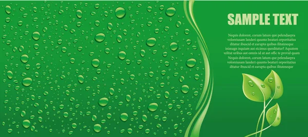 Agua verde natural gotas de fondo con hoja fresca — Vector de stock