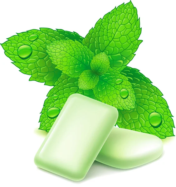 Chewing gum and fresh mint leaves, isolated on white — Stock Vector