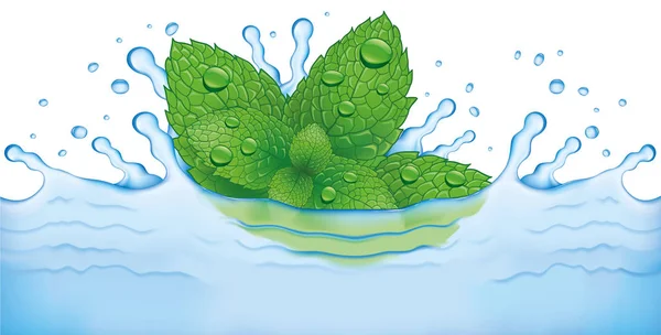 Hojas de menta fresca cayendo al agua. Refrescante y saludable — Archivo Imágenes Vectoriales