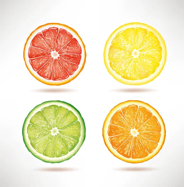 Färsk lime, citron, apelsin, grapefrukt segment — Stock vektor