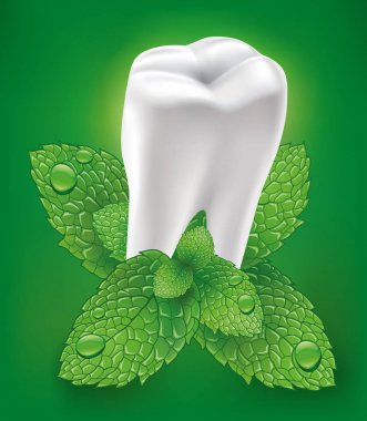 tooth with mint leaf on green background clipart