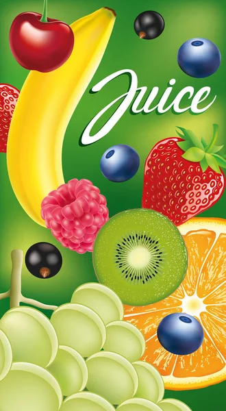 Упаковка етикетки з різними фруктами та ягодами — стоковий вектор