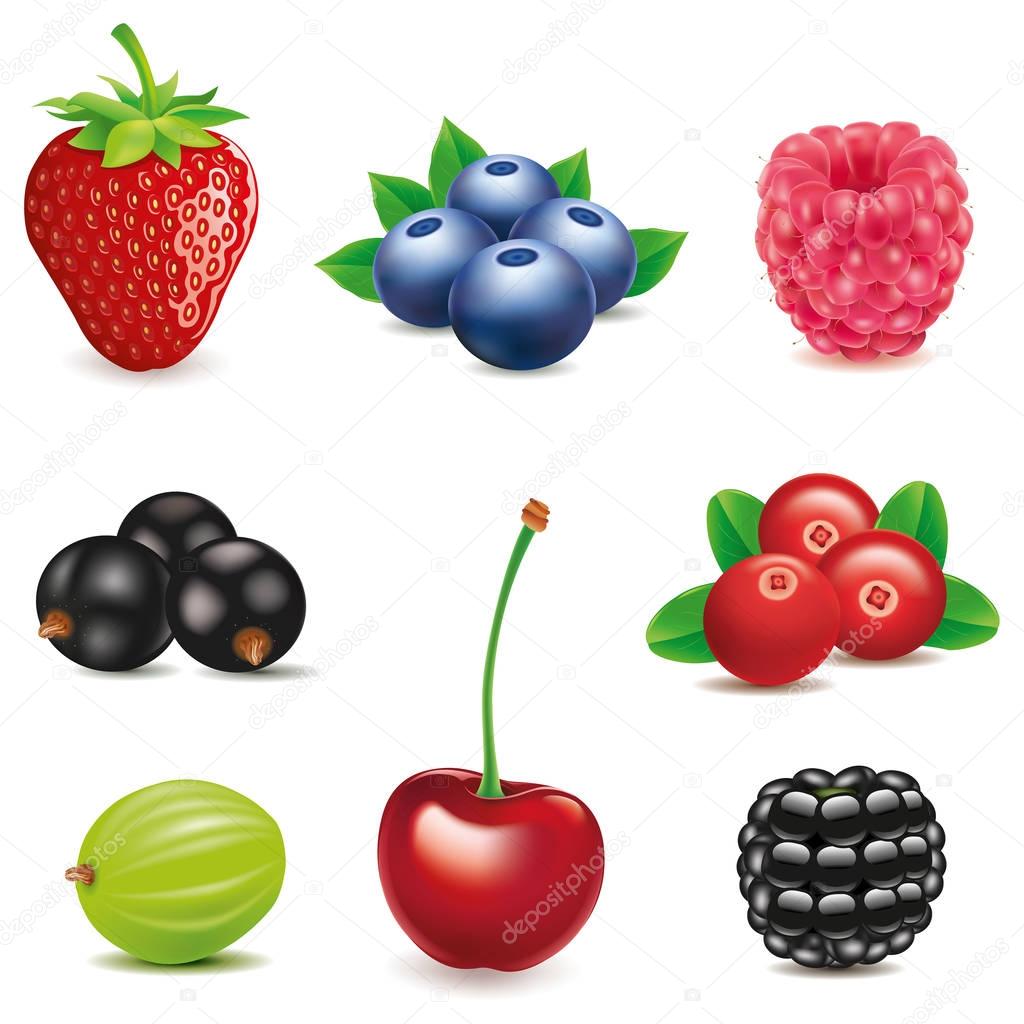 fresh strawberry, bluebberry, raspberry, cherry, black currant, blackberry