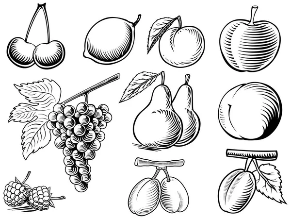 Fruta extraída a mano cereza, limón, manzana, uva, pera, melocotón, albaricoque, ciruela, frambuesa — Vector de stock