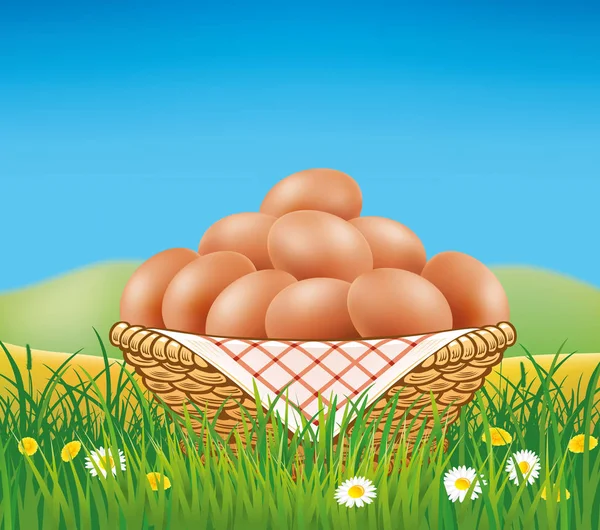 Huevos frescos en canasta en el campo de verano — Vector de stock