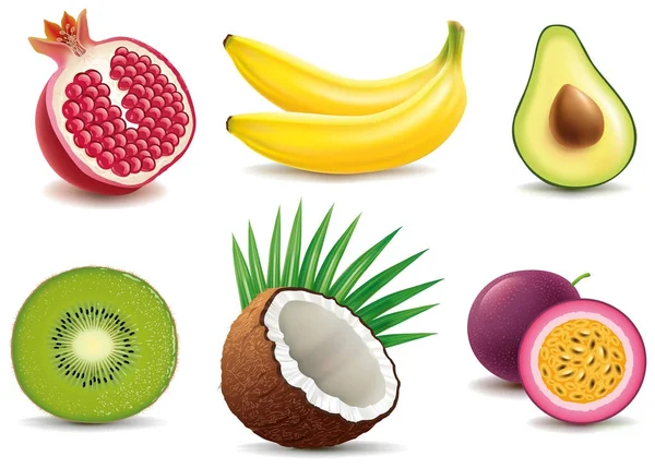 Exotische fruit-granaatappel, kiwi, kokosnoot, banaan, avocado, passievruchten — Stockvector