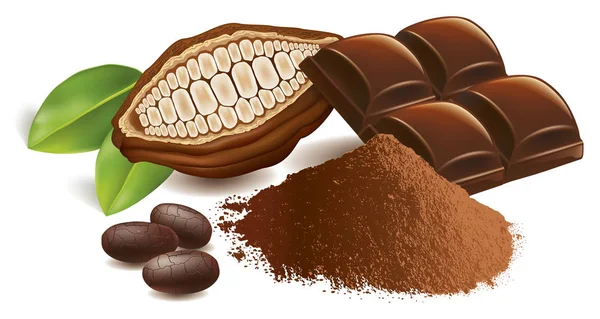 Какао Боби Шоколадним Столом Порошком — стоковий вектор