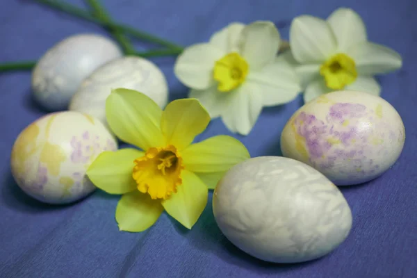 Easter eggs with daffodils flowers on blue background — Stock Photo, Image