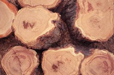 Yuvarlak ahşap günlükleri - doğal ahşap arka plan