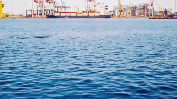 Cargo port, måsarna över havets vågor och delfiner i havet — Stockvideo