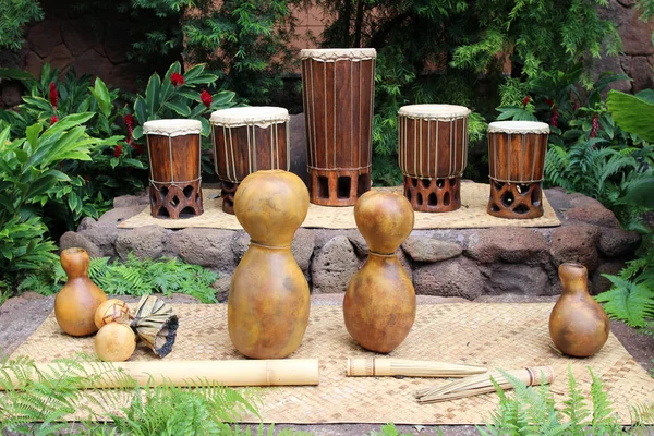 Instrumentos musicais de hula — Fotografia de Stock