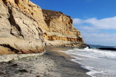Pasifik kıyı şeridi