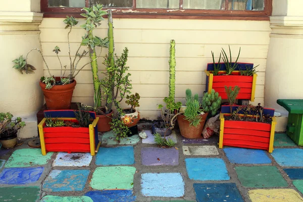 Kolorowe, drewniane skrzynki i donice z roślinami i kaktusy na płytki na podłodze — Zdjęcie stockowe