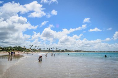 Brezilya - Porto de Galinhas plajları.