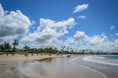 Brezilya - Porto de Galinhas plajları.