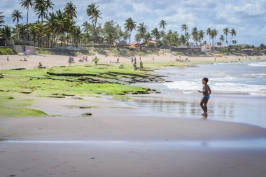 Brezilya - Porto de Galinhas plajları.