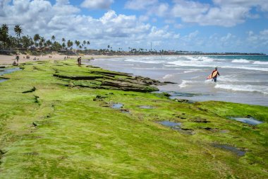 Brezilya - Porto de Galinhas plajları.