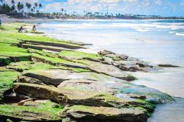 Brezilya - Porto de Galinhas plajları.