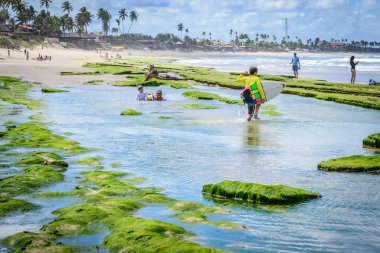 Brezilya - Porto de Galinhas plajları.