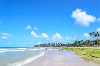 Brezilya - Porto de Galinhas plajları.