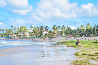 Brezilya - Porto de Galinhas plajları.