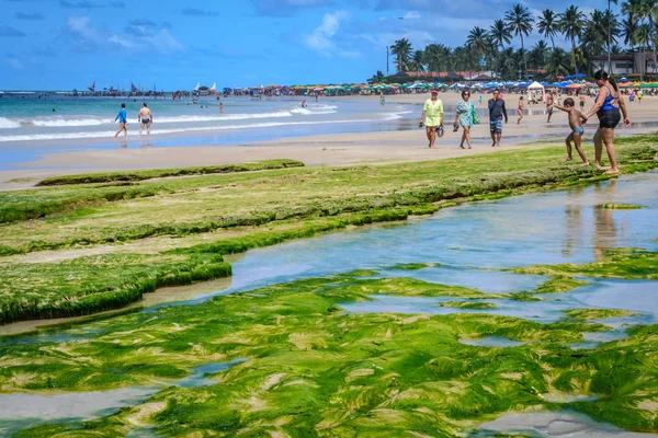 Пляжі Бразилії - Porto de Galinhas. — стокове фото