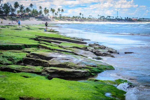 Brezilya - Porto de Galinhas plajları.