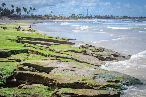 Brezilya - Porto de Galinhas plajları.