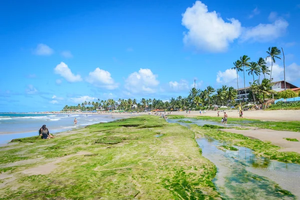 Plaże Brazylii - Porto de Galinhas. — Zdjęcie stockowe