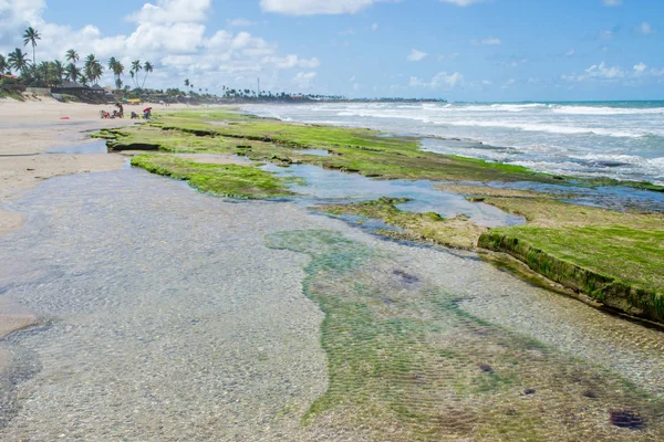 Plaże Brazylii - Porto de Galinhas. — Zdjęcie stockowe