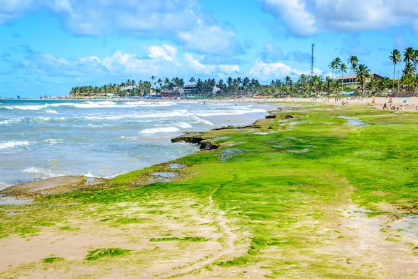 Brezilya - Porto de Galinhas plajları.