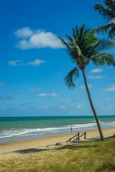 Plages Brésil Boa Viagem Beach Recife Pernambuco — Photo