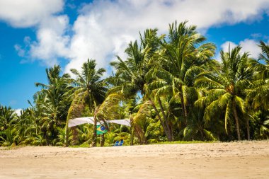 Brezilya plajları - Maragogi, Ponta de Mangue Beach - Alagoas