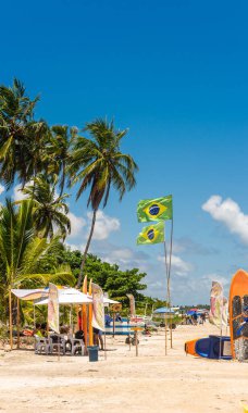 Brezilya plajları - Maragogi, Ponta de Mangue Beach - Alagoas