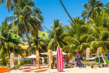 Brezilya plajları - Maragogi, Ponta de Mangue Beach - Alagoas