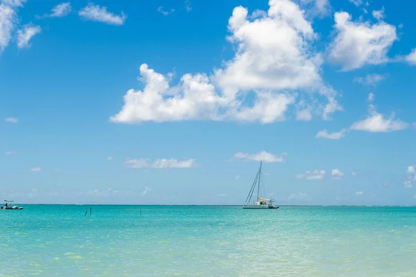 Пляжи Бразилии Maragogi Ponta Mangue Beach Алагоас — стоковое фото