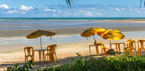 Pláže Brazílie Maragogi Ponta Mangue Beach Alagoas — Stock fotografie