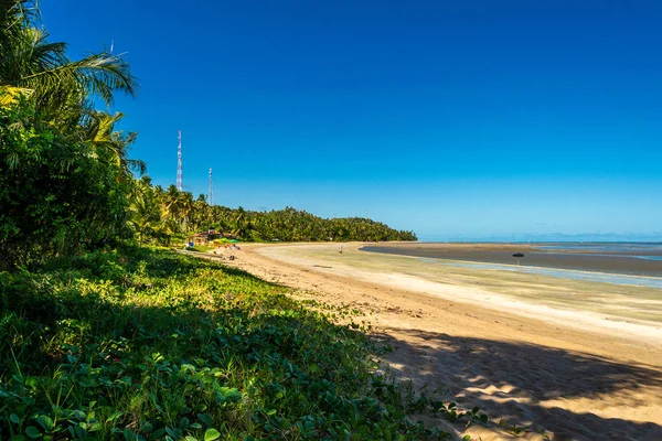 Pláže Brazílie Maragogi Ponta Mangue Beach Alagoas — Stock fotografie