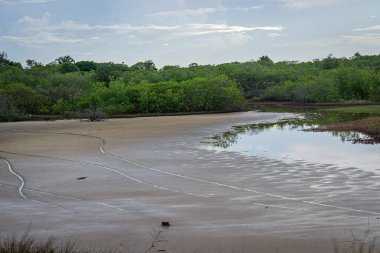Brezilya Plajları - Praia Bela Plajı, Paraiba Eyaleti - Brezilya