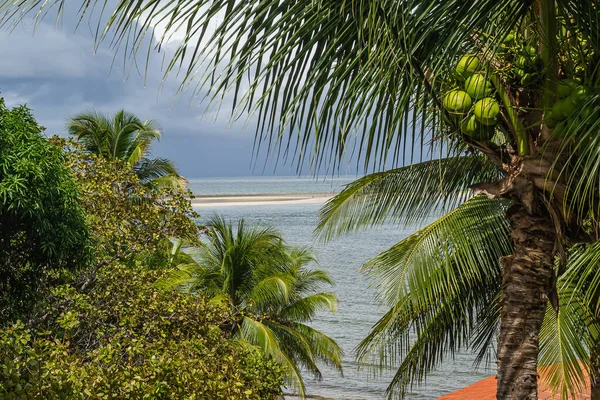 Pláže Brazílie Ponta Pedras Beach Pitimbu Pernambuco State Brazílie — Stock fotografie