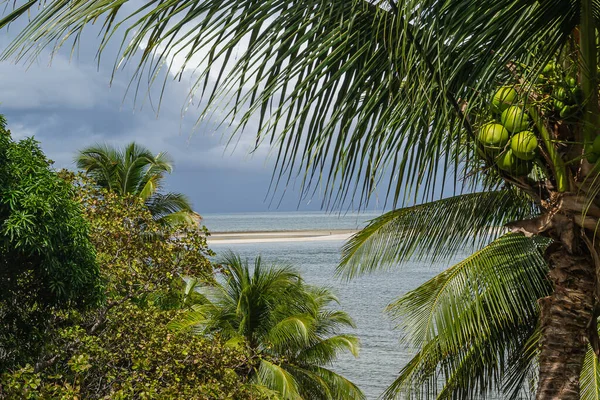 Пляжі Бразилії Понта Педрас Біч Пітімбу Штат Пернамбуку Бразилія — стокове фото
