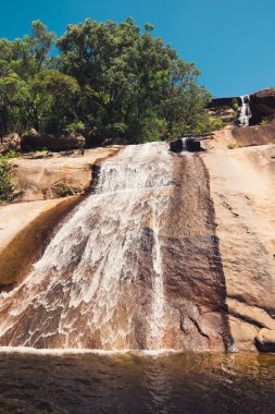 Güzel şelale Bowling Green Bay Milli Parkı, Alligato