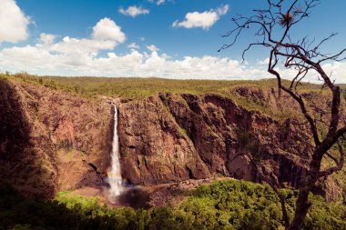 Wallaman Falls, cascade ve at kuyruğu şelale Sto üzerinde