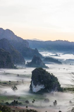 puslu dağlar, Phu Langka Milli Parkı peyzaj.